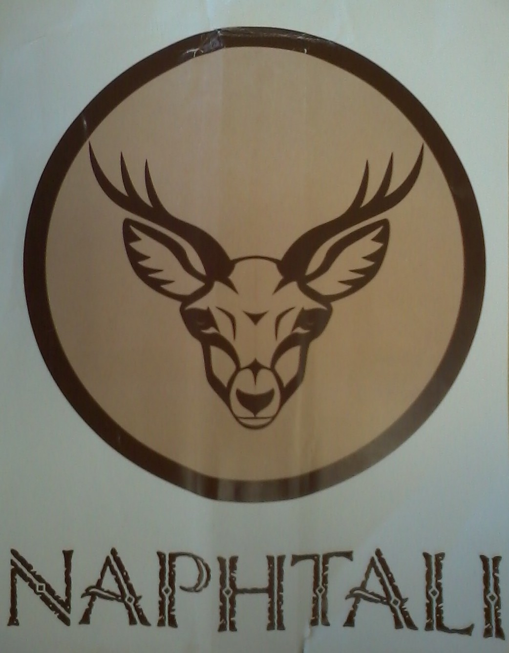 Naphtali, Tribe of Israel